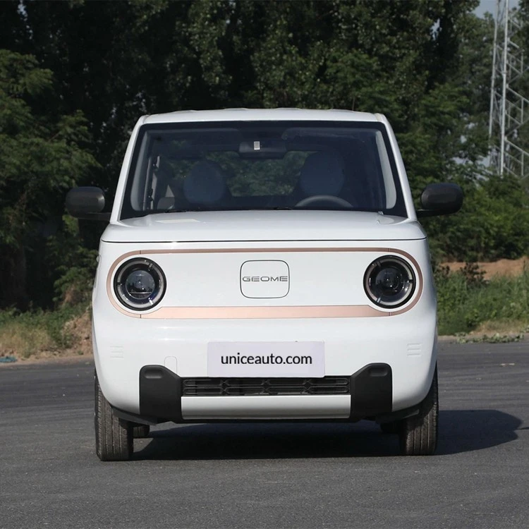 Geely Panda Mini 2023 EV Car